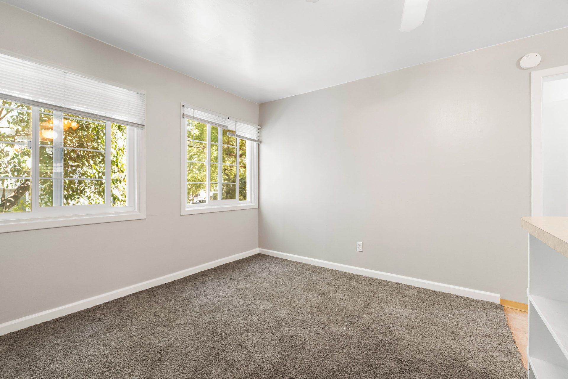 Bright corner living space with tall windows overlooking mature trees