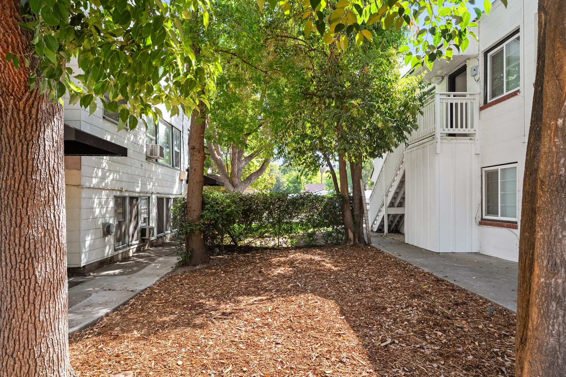 Shaded courtyard between the two Magnolia Avenue buildings with mature trees and exterior stairway